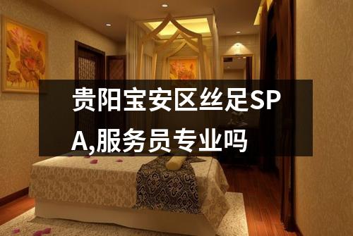 贵阳宝安区丝足SPA,服务员专业吗