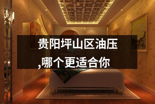 贵阳坪山区油压,哪个更适合你